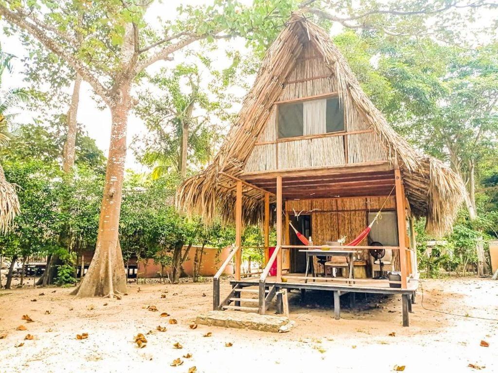Reserva Natural El Matuy Palomino Exterior photo