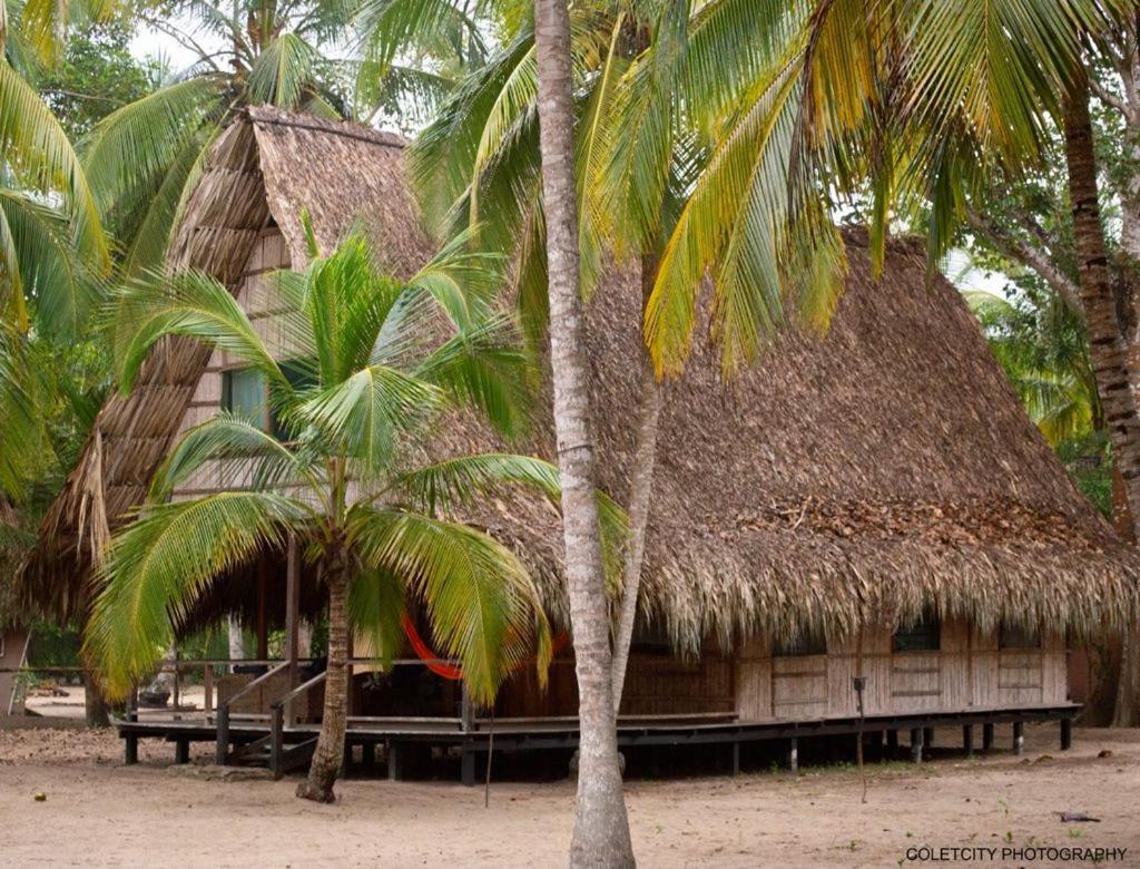Reserva Natural El Matuy Palomino Exterior photo